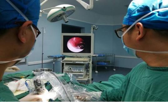 脑出血中医病因和发病机制,脑出血原因中医