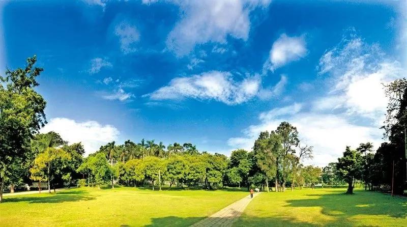 报考华南农业大学,华农报录比