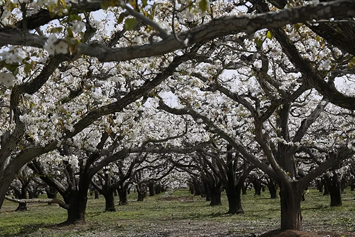 长三角城市群最佳旅游线路,长三角示范区旅游详细攻略