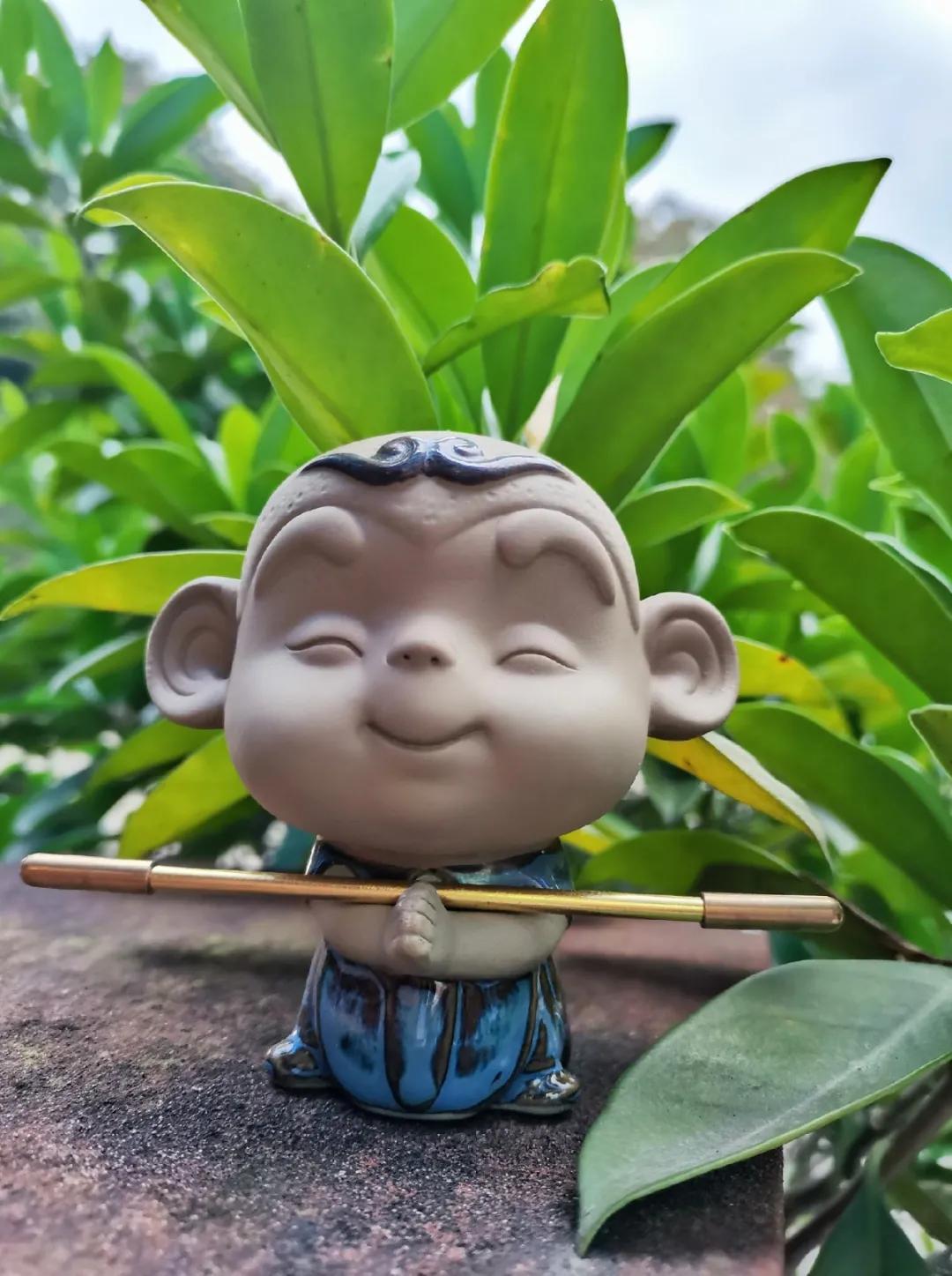 大佛印象新品发布会 (毕业旅行乐山大佛)