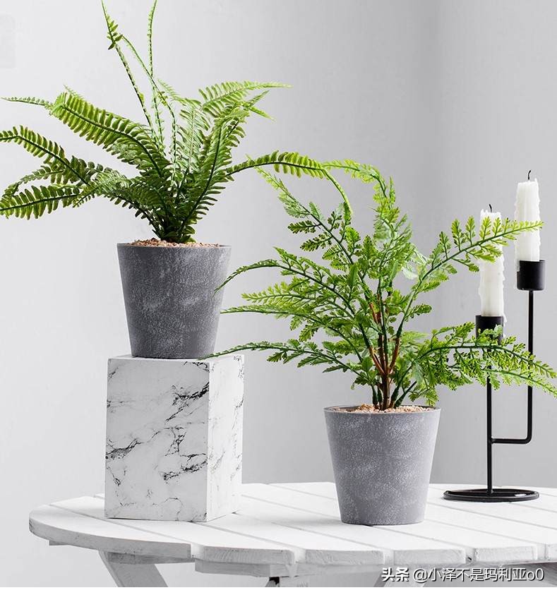 年轻人都在逛的宝藏家居店,好用又平价的家居店铺