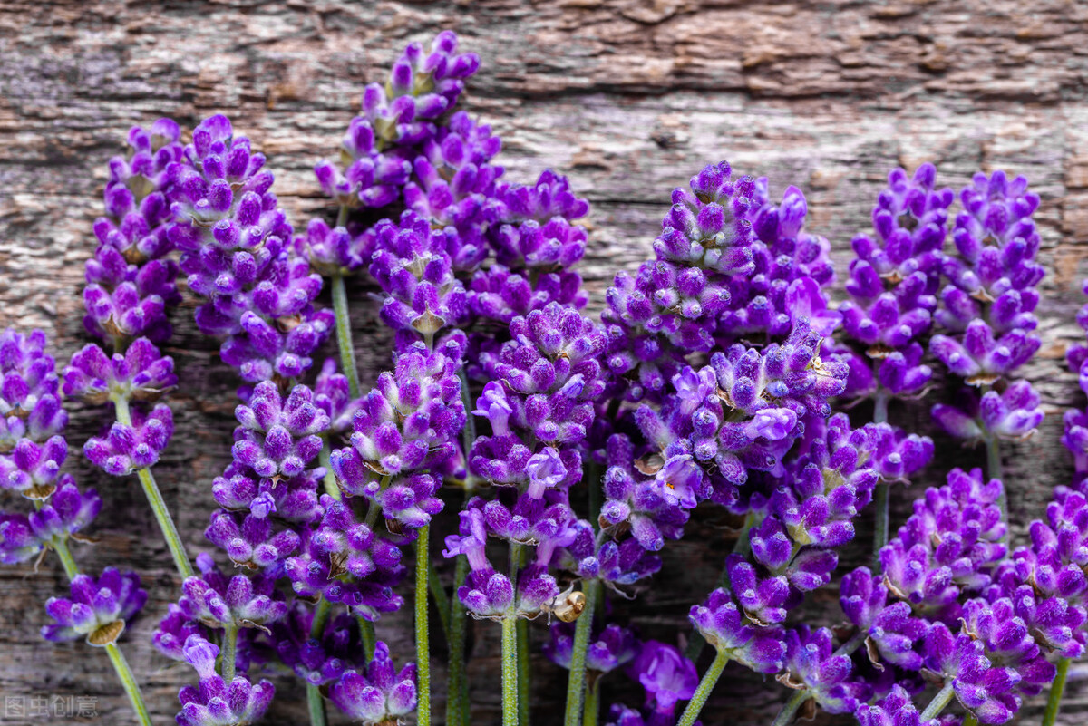 自考大专要三年毕业吗,成人自考本科1.5年毕业是真的吗