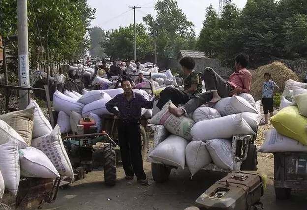 六七十年农民交公粮照片,老百姓上缴公粮场面