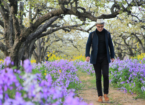 春游江淮请你来滁州版,春游江淮等您来