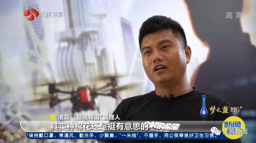 3000亩棉田,棉田种植