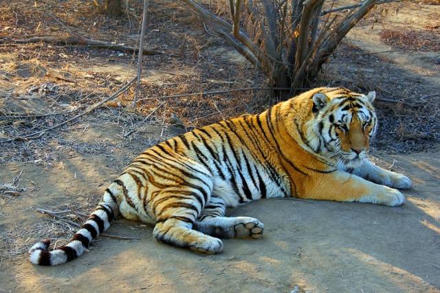 有人问你：哈尔滨哪个区（市）县最大哪个最小？都有啥？你知道不