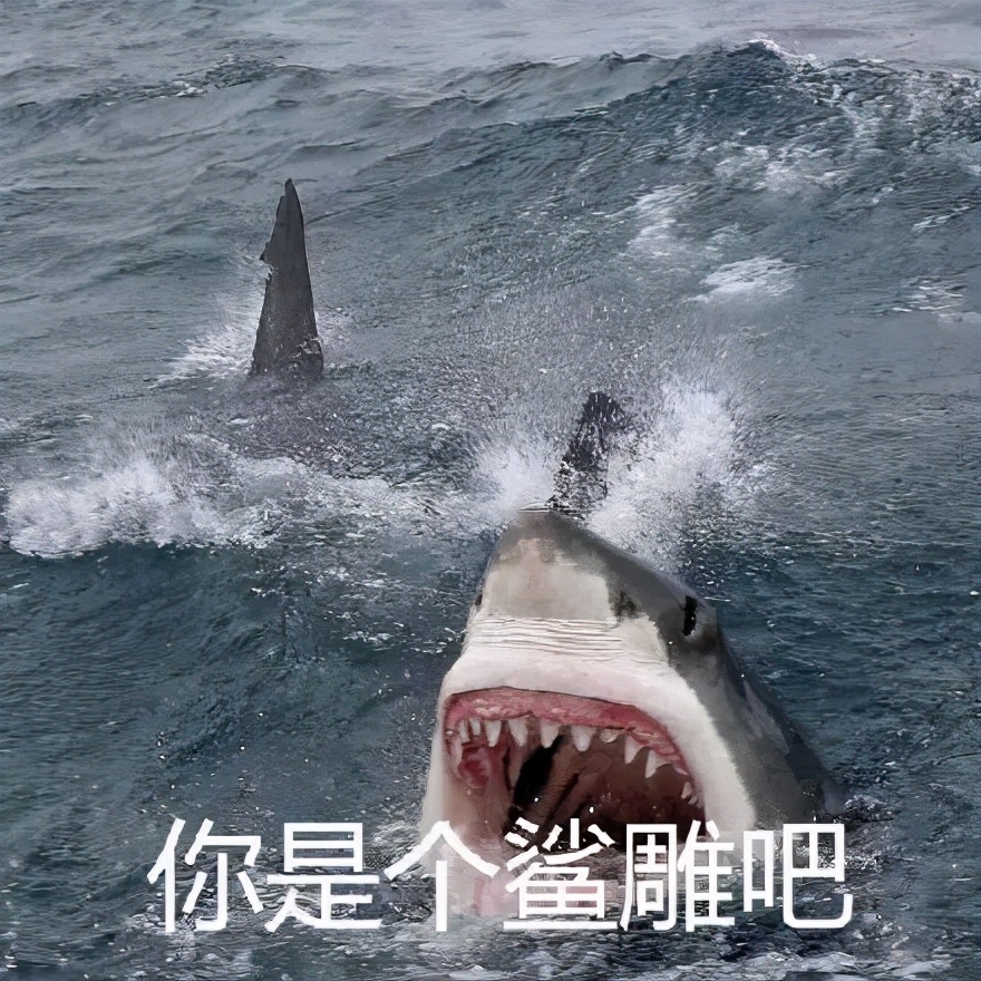 红牛最新赞助项目,红牛赞助计划