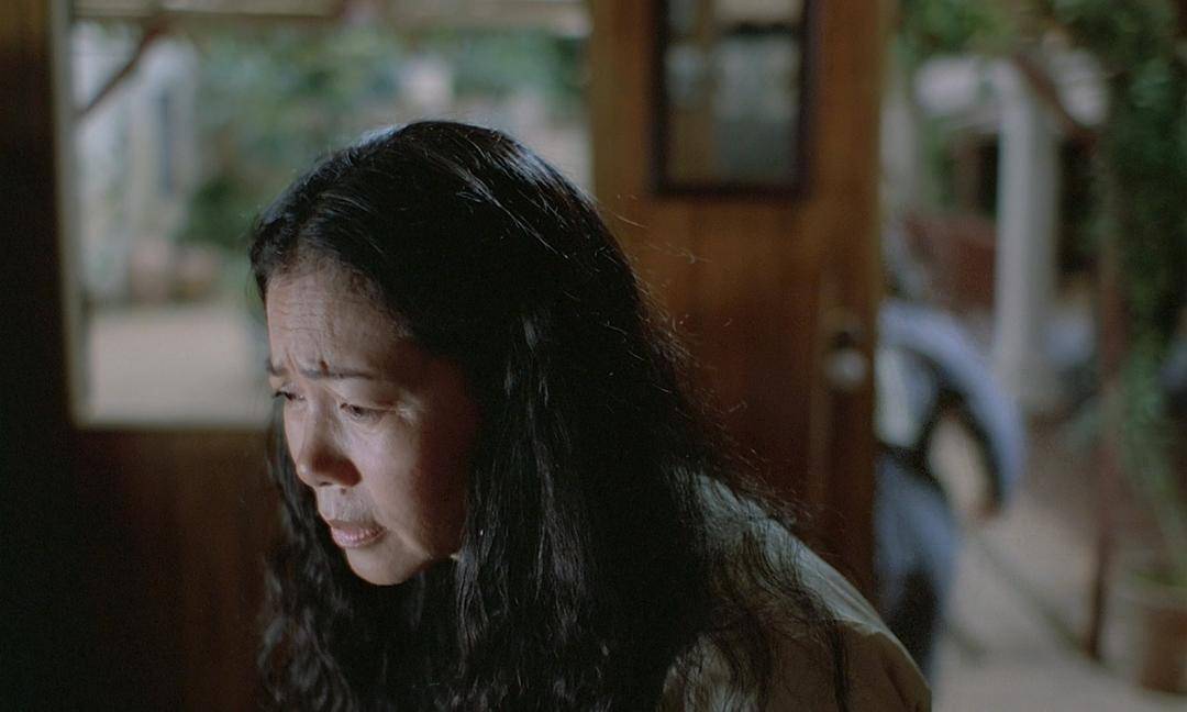 青木瓜之味照片,青木瓜之味南洋风