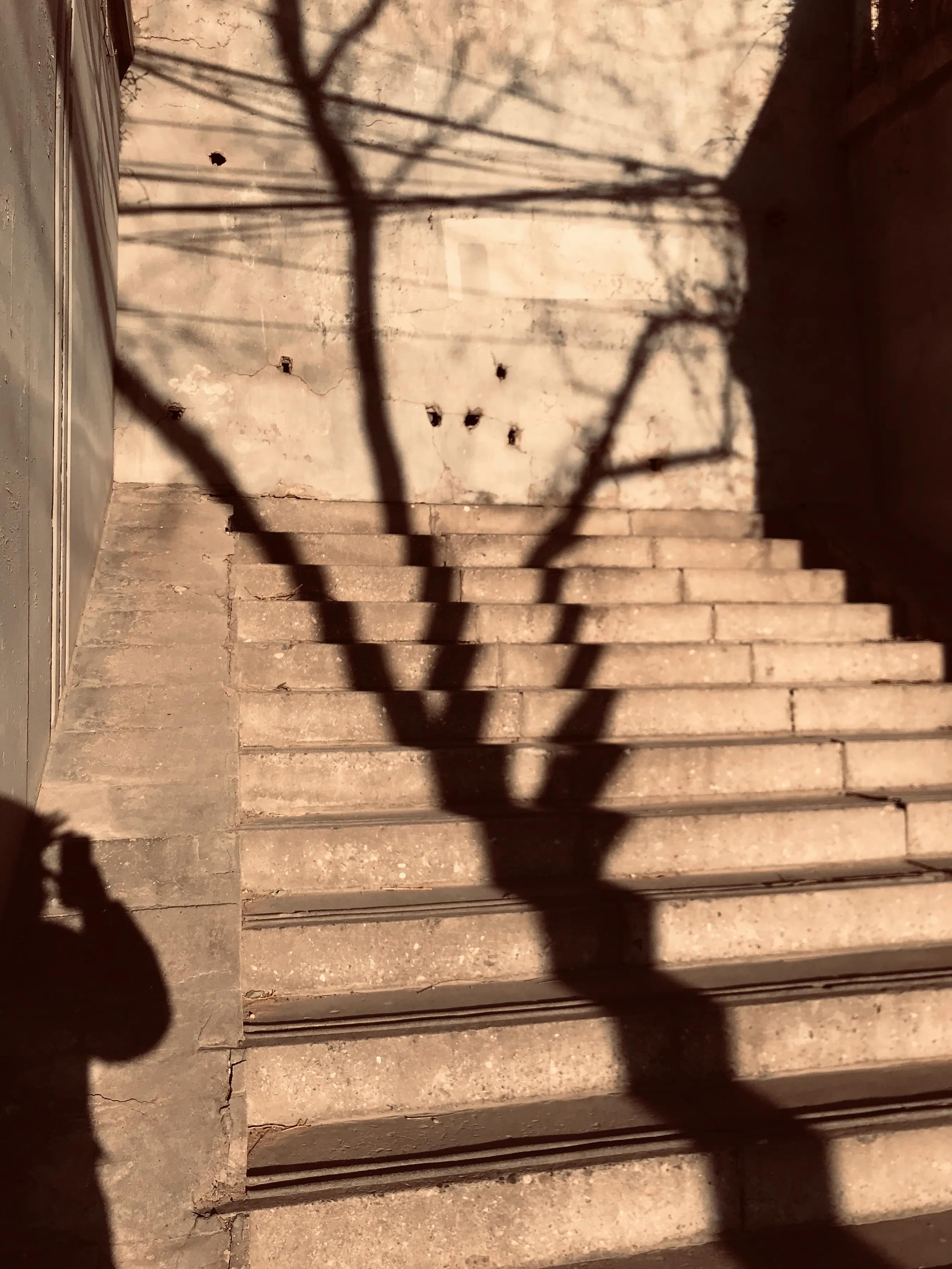 美好的定义,美的定义是什么