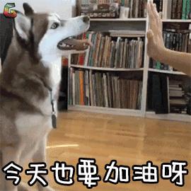 雅思6.0和托福550哪个好考,雅思550分是什么水平的