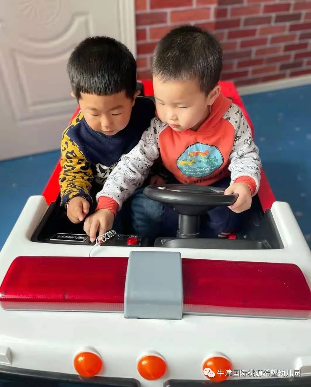 常德桃源公办小学招生政策,常德桃源高中招生计划