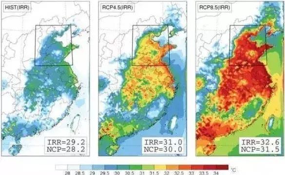地球5年后的大灾难,地球病了会好起来吗