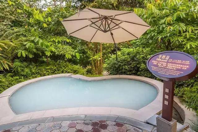 广东省内海拔最高的5星温泉金叶子，高山温泉+房间温泉一并拥有