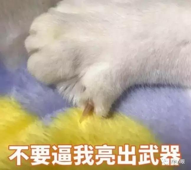 隐形眼镜，摘比戴更难啊朋友们！