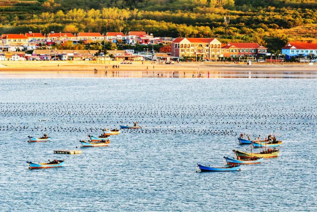 美过三亚!比厦门浪漫!中国这座海滨老城,去一次相当于环游世界