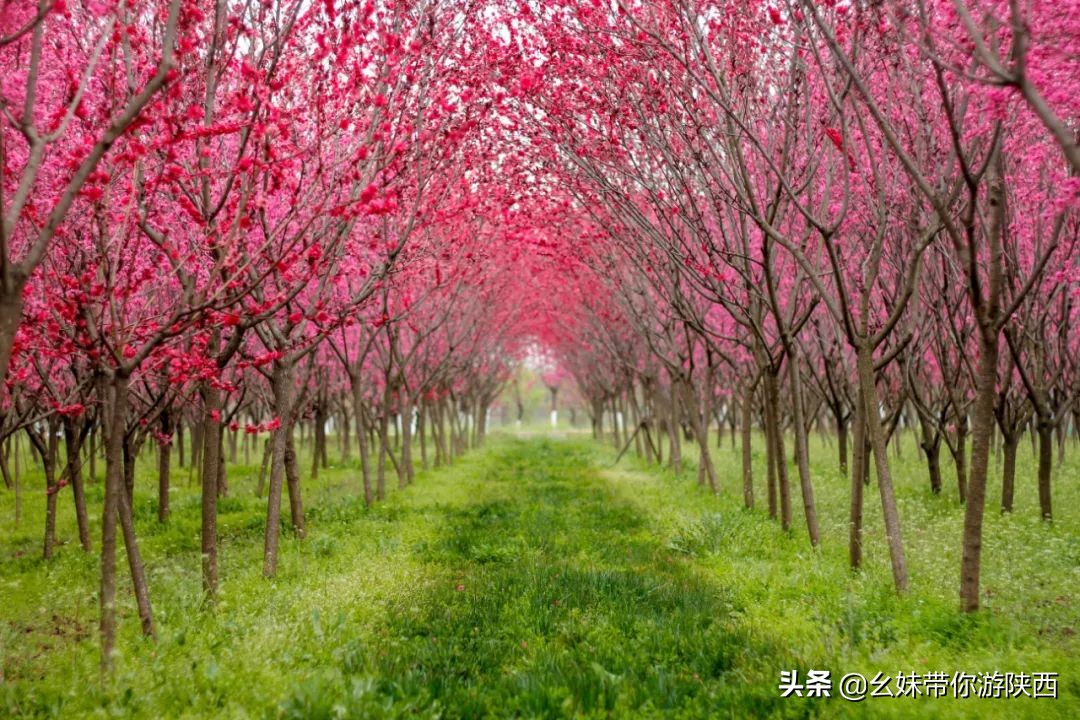 西安亲子农场庄园,西安亲子庄园