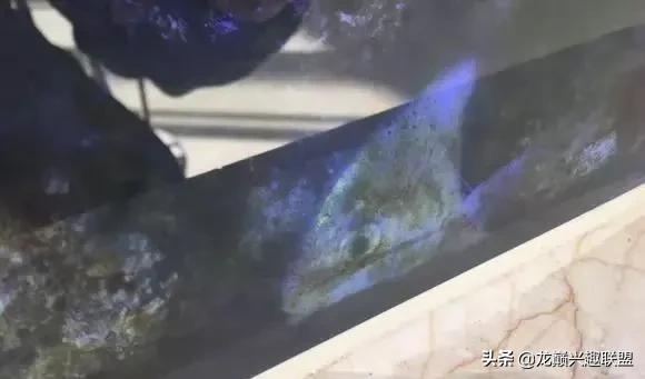 楸肩几濡傛璞皵,楂樼楸肩几椴ㄩ奔