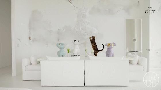 设计师的家才是她能力的最好证明,设计师的魅力是最舒适的家