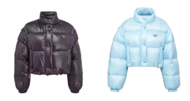 八天就凉凉？郑爽成Prada史上最短代言人，这些单品依然值得