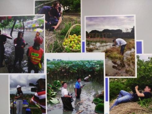 这份城市台“收视榜单”发布!汕头台重回全国前列、排名全省第一!《今日视线》也上榜了!