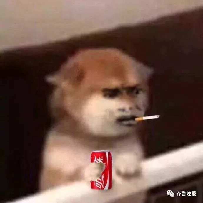 代购店主逃税300万判几年,以案释法为什么赢了官司还被罚