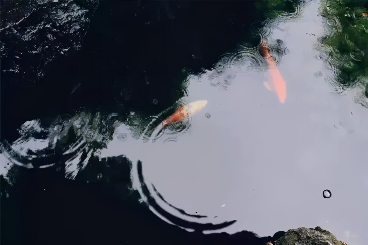 鑻忓窞鍥灄vs鏉窞瑗挎箹,鏉窞瑗挎箹vs鑻忓窞鍥灄