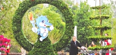 军运会负责人,军运会开幕式武汉城市之光