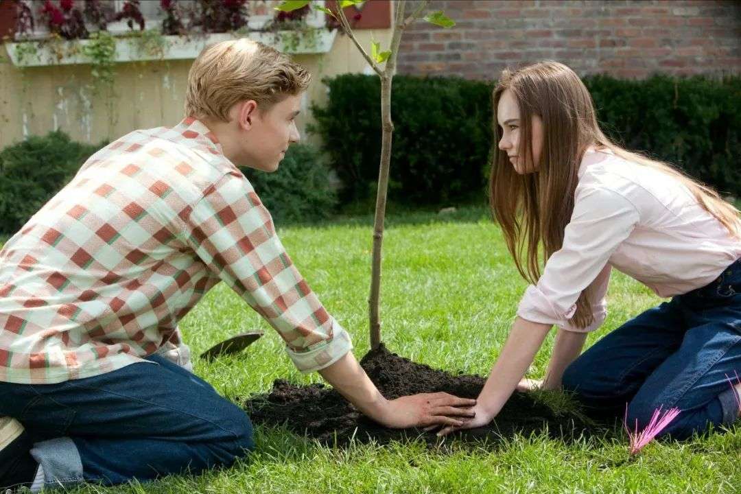 爱情开始就是相互试探,爱情开始的一百种可能性