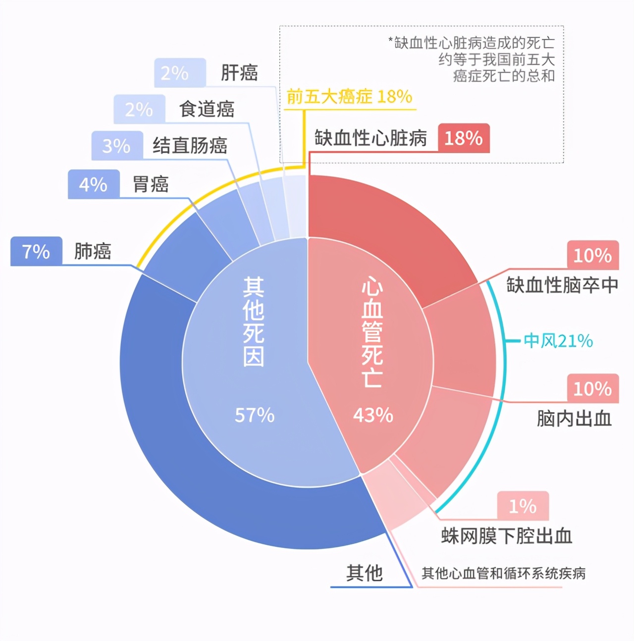 颈动脉狭窄安了支架还是晕,颈动脉堵塞脑梗偏瘫恢复需要多久