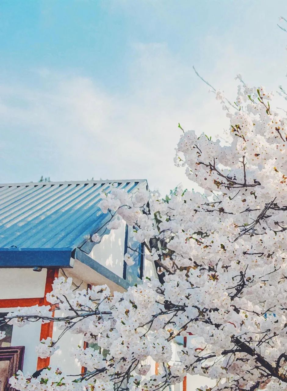 忽然想去旅游了,忽然想去宁波了