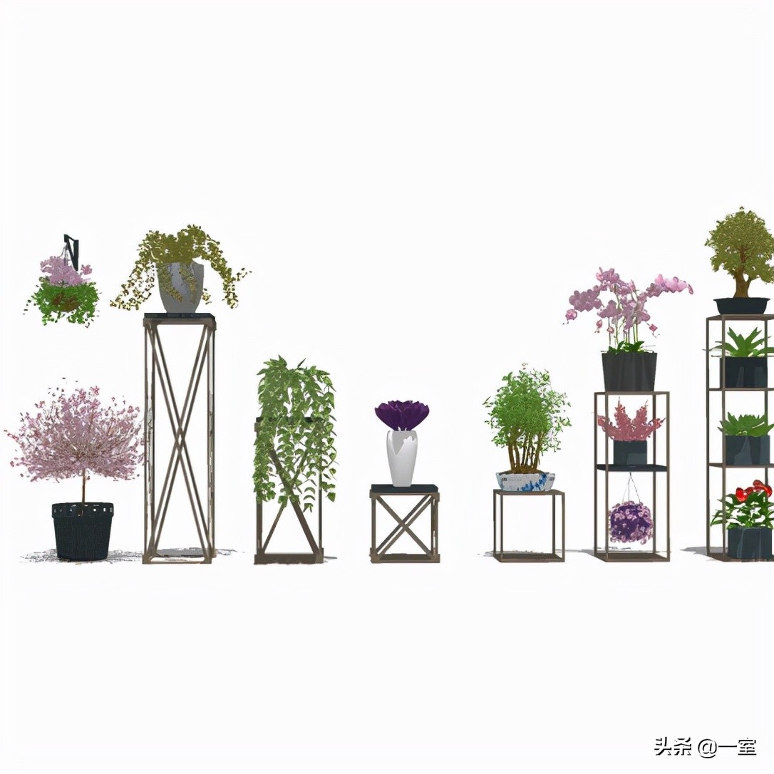 网红庭院植物搭配,网红绿植搭配技巧