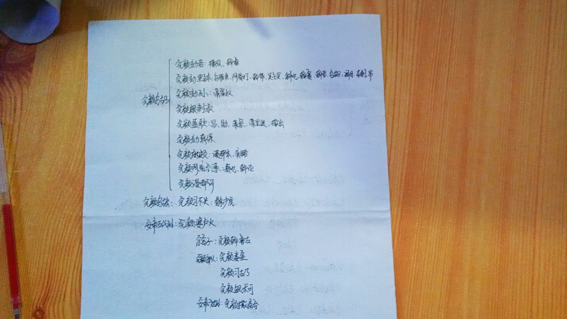 金朝大将,金朝完颜家族史简介