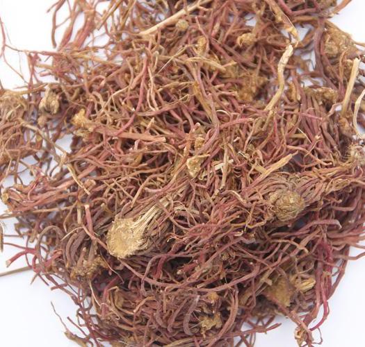 名老中医用紫菀治便秘,中医李东元便秘方子