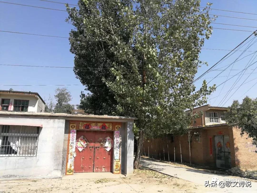 冠县贾镇高庄铺村,冠县乡韵北馆陶宗屯村