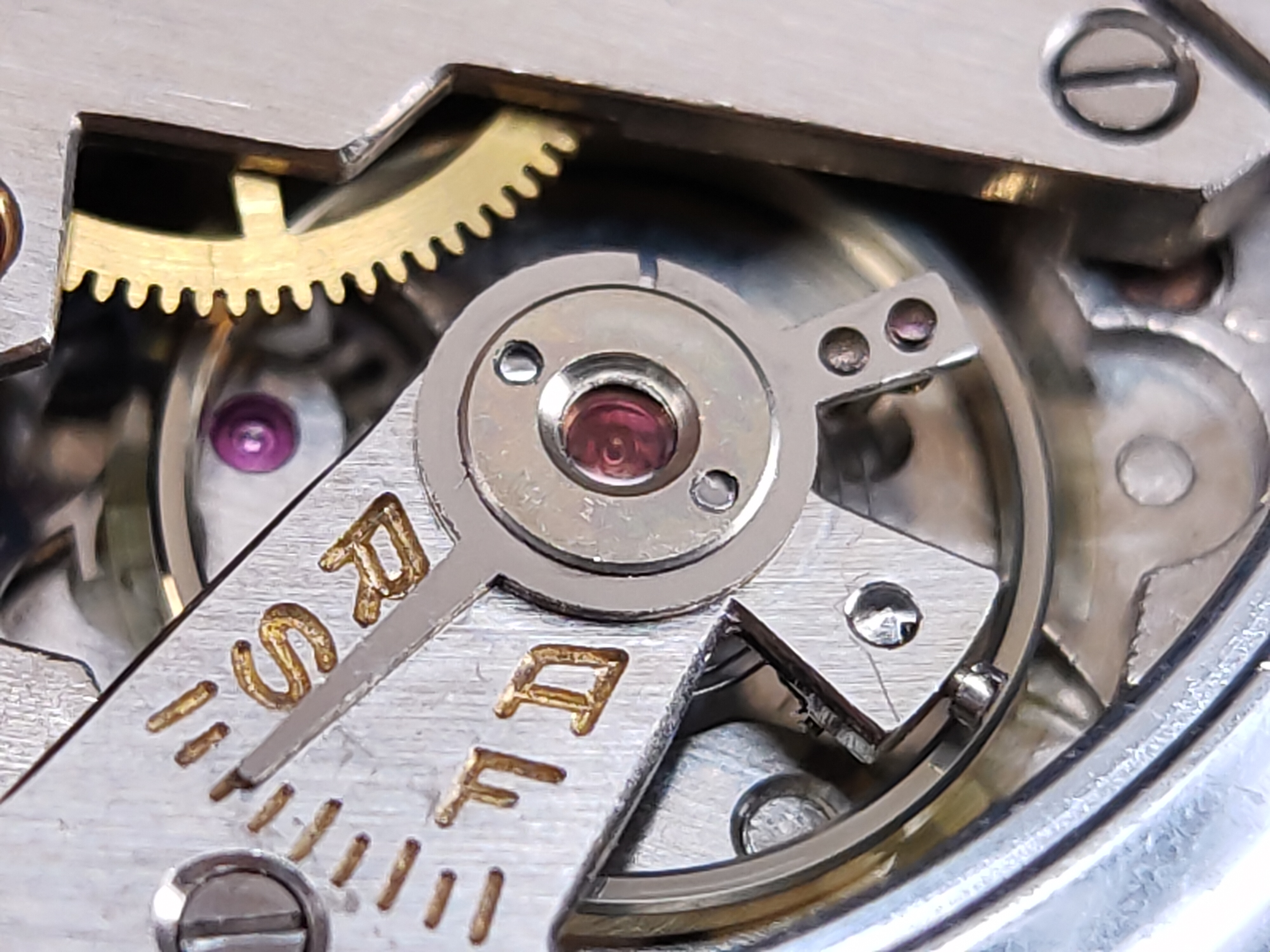 因为一条鱼爱上一个人,因一条鱼丢了一条命