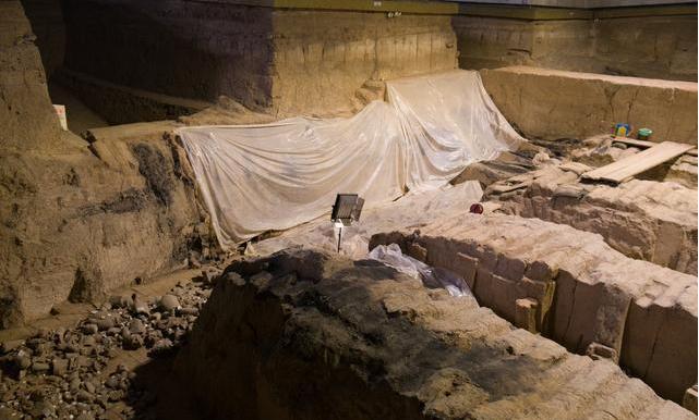 7300年少女现陕西，体内18种凶器35处致命伤，仅因身体一缺陷