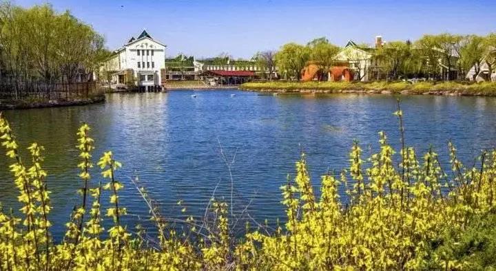 山东免费景区开放最新通知,山东景区门票免费政策有哪些