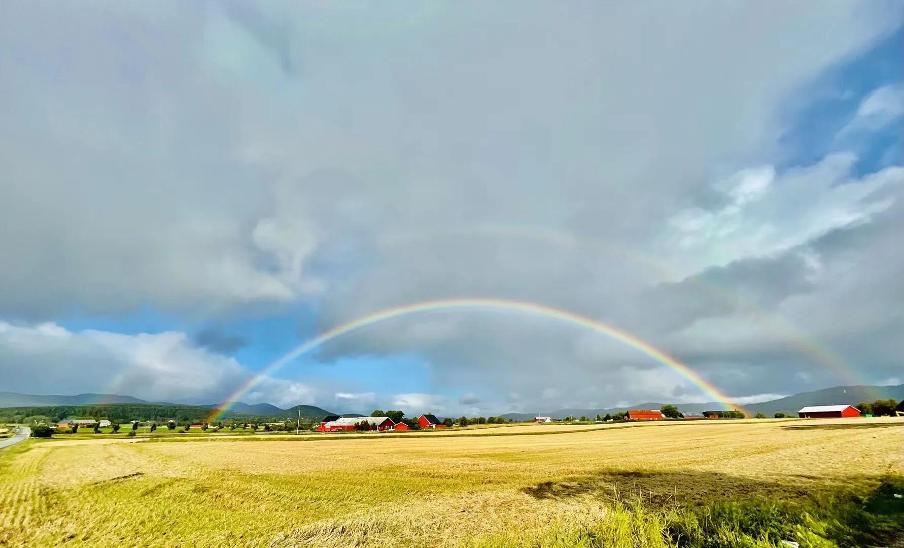 互相借鉴教学相长作文1000字,教学相长作文