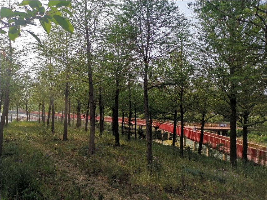 山东莒县重点发展,莒县近五年发展变化