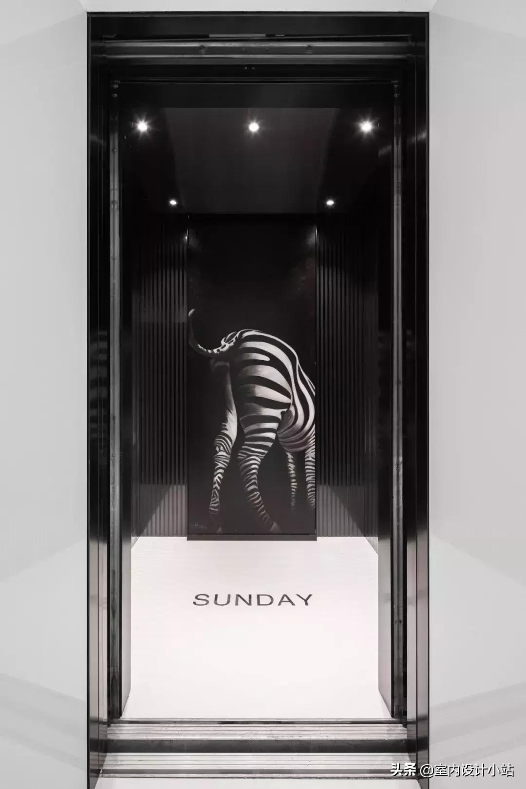 全国首家动物主题酒店,杭州野生动物园主题酒店