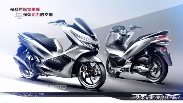 狼真的来了配图,新大洲本田和五羊本田pcx150