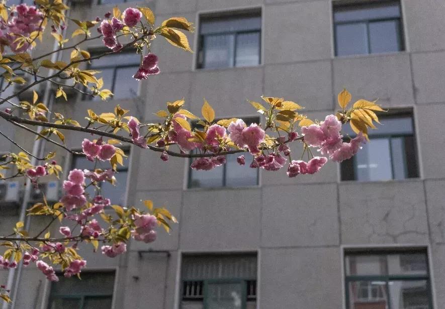 安徽省高校合肥理工,安徽省二类本科公办大学