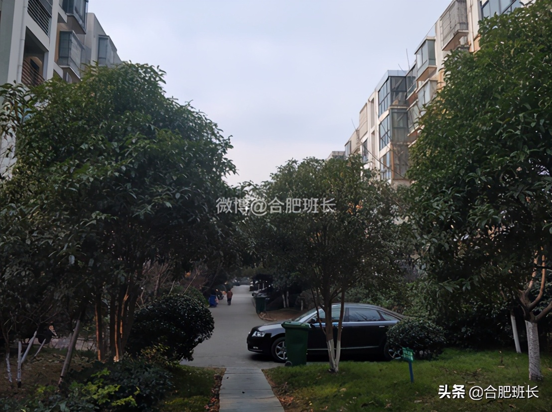 被168*瑰园玫**西区包围的安大磬苑怎么样?班长带你一探究竟