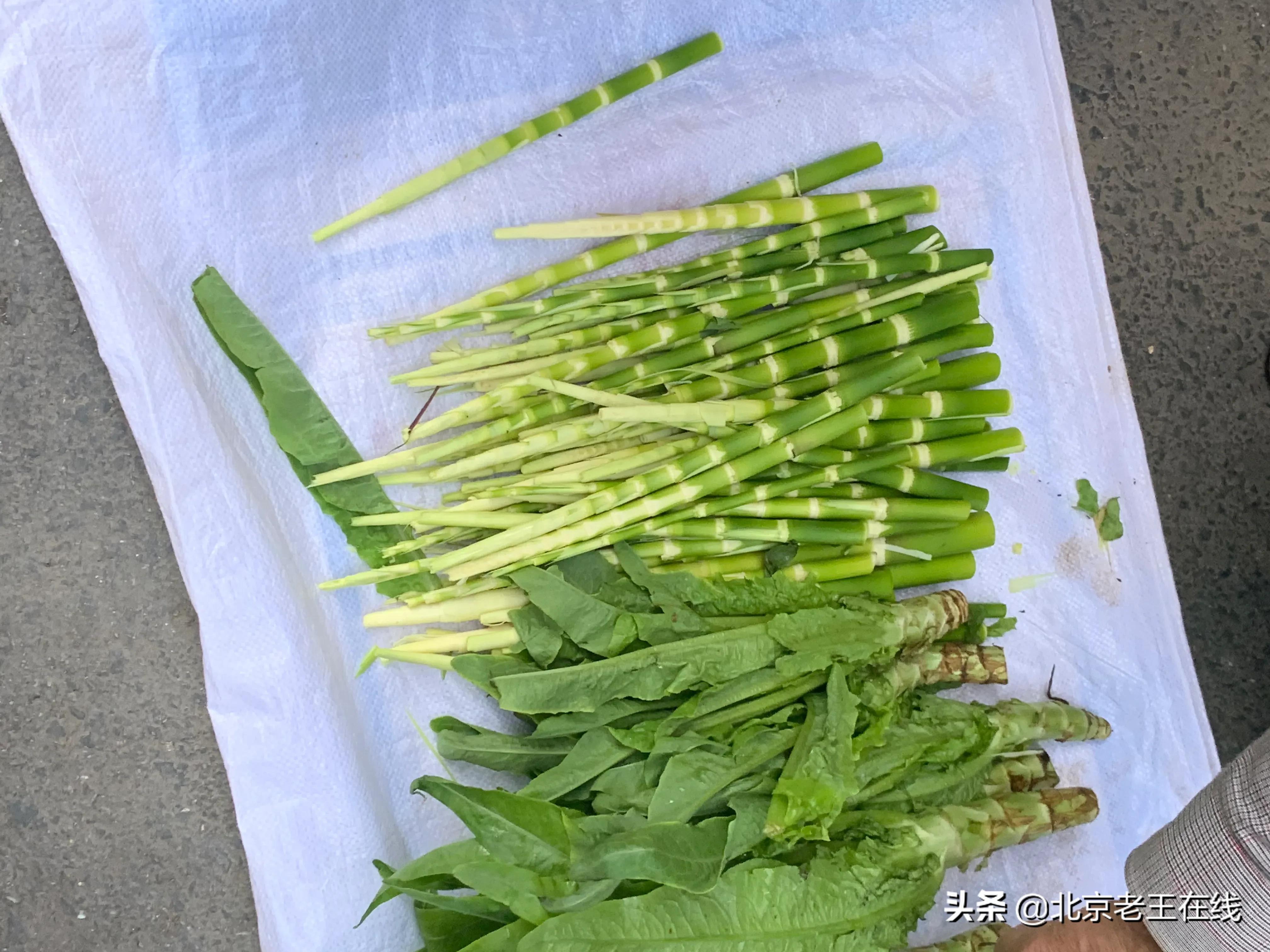 川渝之旅第三站,川渝之行感悟