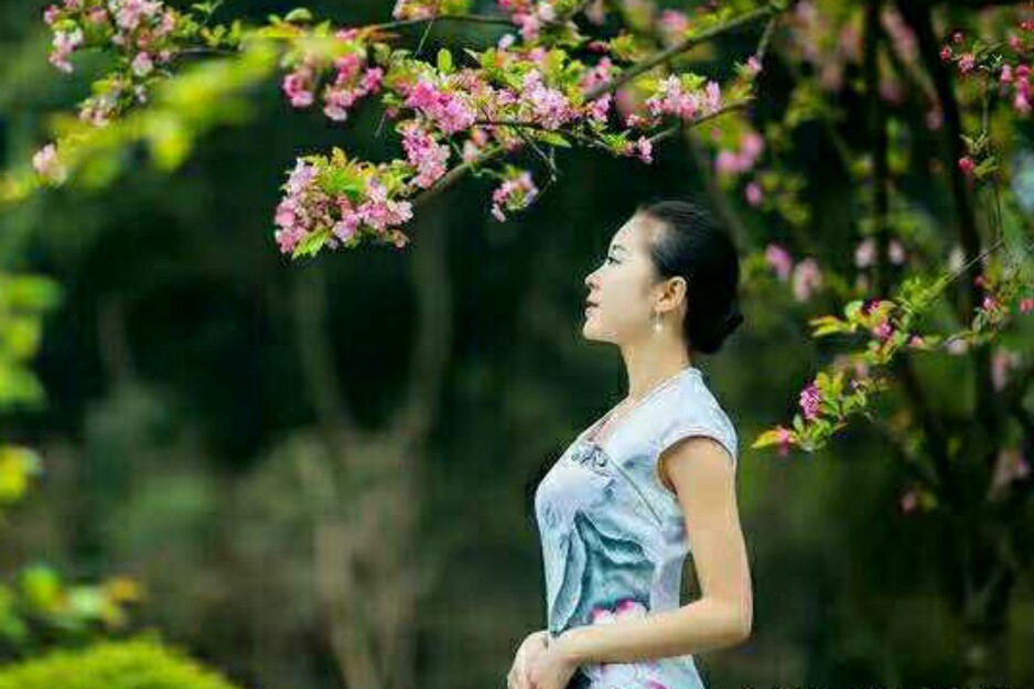 春上枝头，岁月别来无恙！【散文】