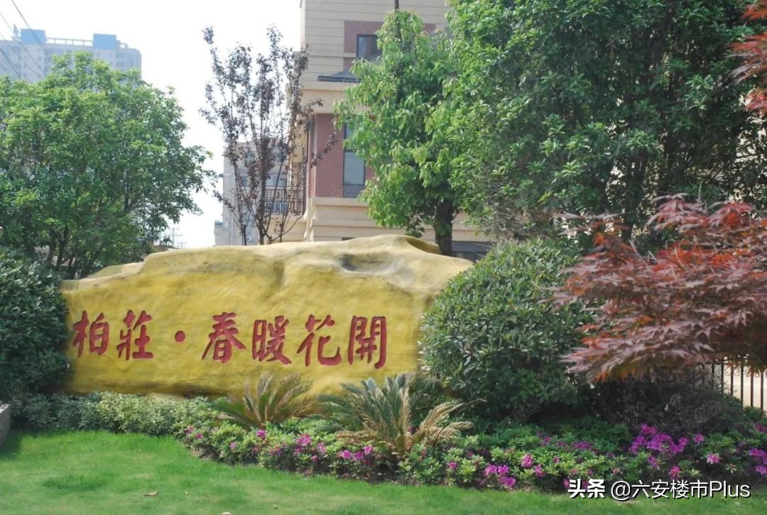 硬核区域新楼盘,振兴六安楼盘