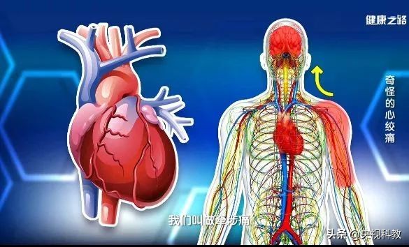 心绞痛只是胸口不舒服是发作吗,心绞痛的疼痛位于后肩胸骨后吗