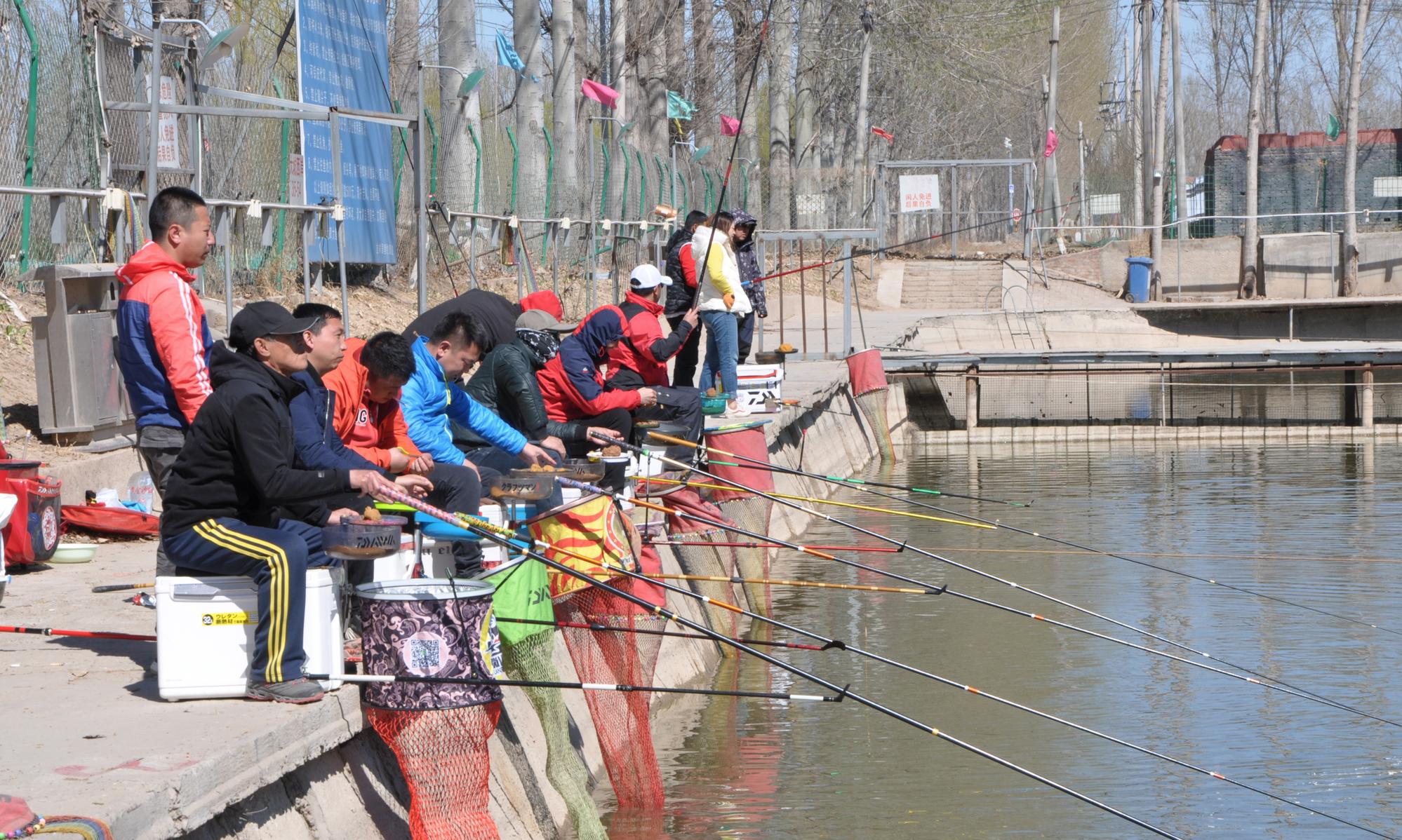 2019黑坑钓鱼比赛直播视频,黑坑钓鱼比赛2019完整视频