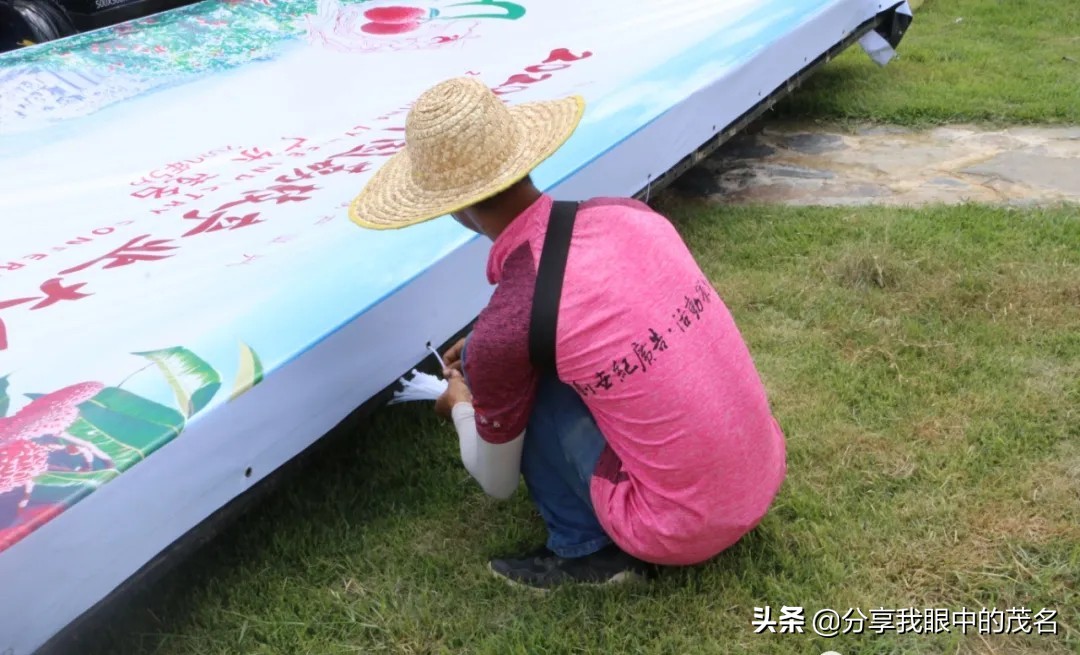 茂名荔枝大会,茂名市520荔枝产业大会