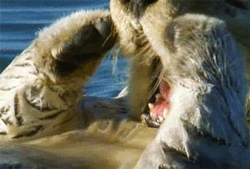 手贱对身体有什么危害,如何控制手贱的行为